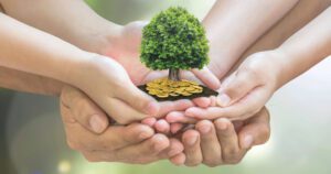 Four hands, of various sizes, cupping together to hold a small tree with lush green leaves. The tree is planted on a pile of golden coins, symbolizing growth, unity, and prosperity. The background is softly blurred with a greenish hue—ideal imagery for a Melbourne Accounting Firm specializing in tax advice.