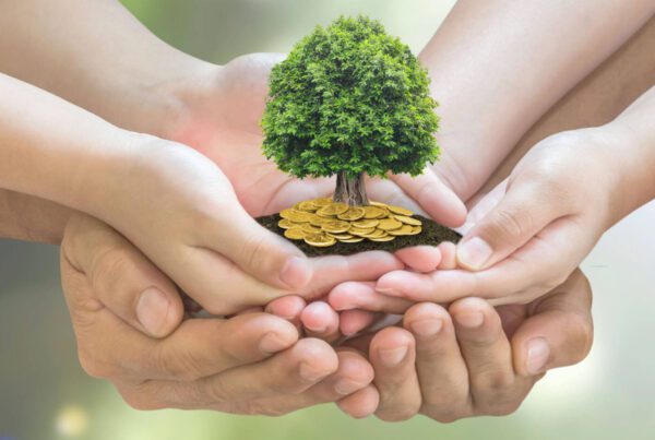Four hands, of various sizes, cupping together to hold a small tree with lush green leaves. The tree is planted on a pile of golden coins, symbolizing growth, unity, and prosperity. The background is softly blurred with a greenish hueโideal imagery for a Melbourne Accounting Firm specializing in tax advice.